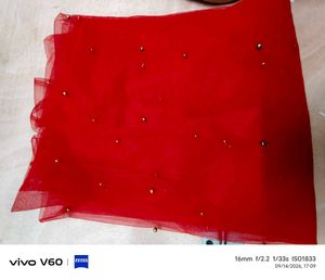 Stunning Red Embellished Net Dupatta