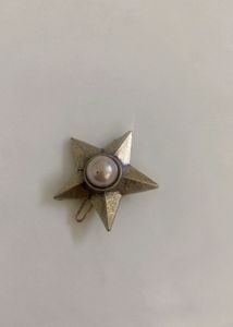 Star Pearl Hair Clip