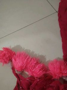 Scarf / Dupatta