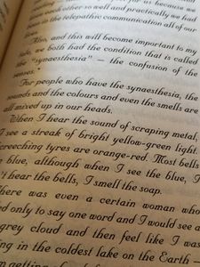 The Name Of This Book Is Secret