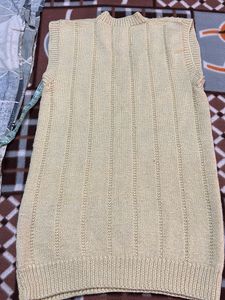 Vintage Knit Sleeveless Sweater Vest