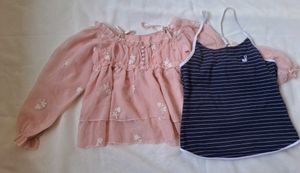 Korean Style Pastel Pink Floral Embroidered top