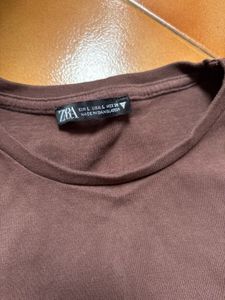 Zara Brown Long Sleeve Cropped Top
