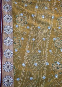 Blue Saree with Polka Dots &amp; Embroidery