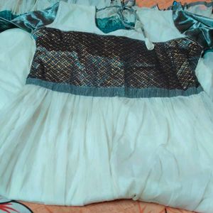 Elegant Embroidered Dress