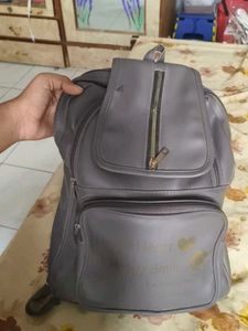 Stylish Grey Backpack | 4 zips