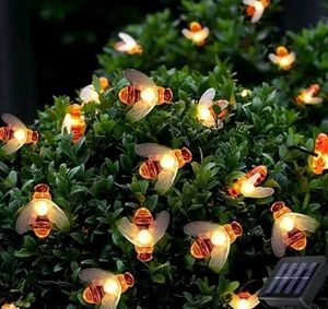 Honey  Lights