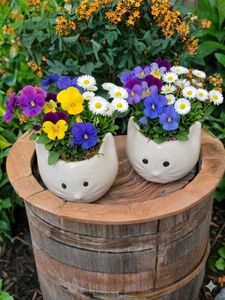 Set of 2 Cute Cat Face Ceramic Planter Pots