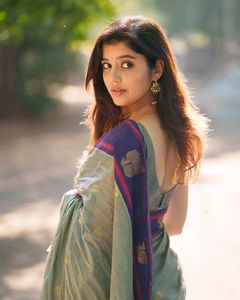Elegant Grey Saree with Blue Border