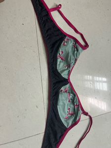 Cute Flamingo Print Bra 34
