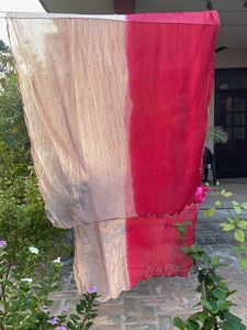 Embellished Ombre Dupatta