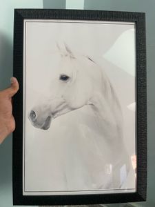 Luxury White Horse Wall Painting
