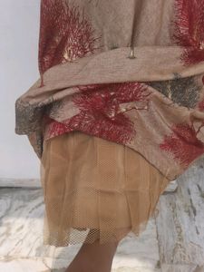 Light Brown Women Party Wear Gown/Dress