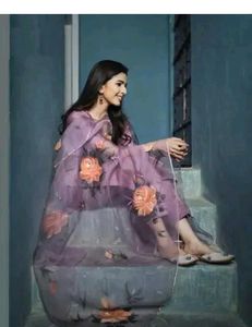 New Organza Kurta Set
