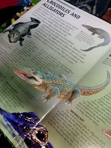 Encyclopaedia Of Animals (140 Pages)