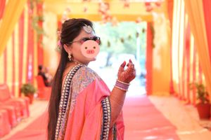 patola lehengha choli