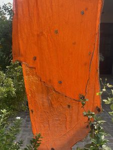Orange Embroidered Dupatta