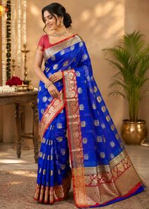 beautiful blue saree