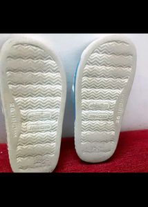 Blue Slipper