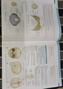 Applied Anatomy &amp; Physiology for Nurses Textbook