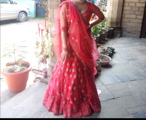Gorgeous Pink & Gold Lehenga