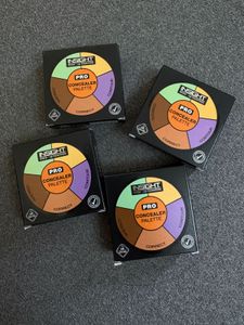 Insight Pro concealer palette