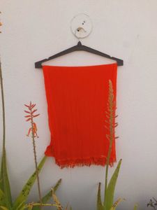 Colorful Dupatta Set of Four