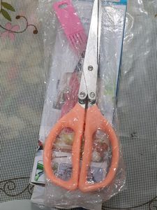 5 Blade Stainless Stell Herb Scissors