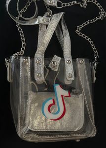 Silver Clear Tote Bag with Pouch
