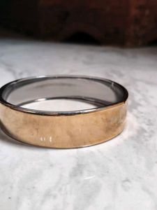 Elegant Gold and Silver Bangle