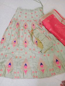 Beautifully Embroidered Lehenga Choli