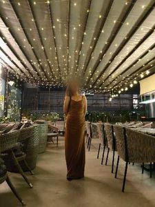 Elegant Velvet Gown