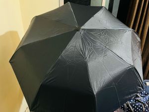 Automatic Open And Close Umbrella ☂️ New With Tag