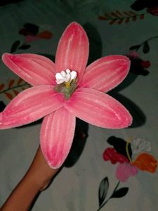 💐Handmade Lily 🎀