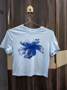 crop top (savana)