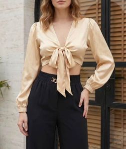 Chic Satin Tie-Front Crop Top