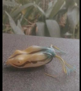 Fishing frog