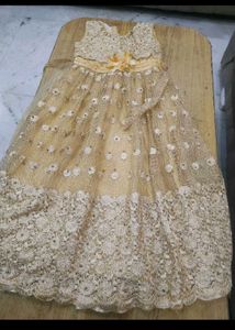 Elegant Embellished Lehenga Choli