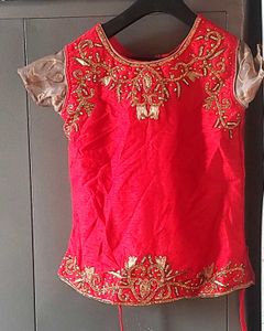 Embroidered Net Skirt with Red Border