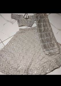 Elegant Silver Lehenga Choli Set