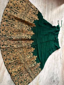 Elegant Green Embroidered Lehenga Skirt