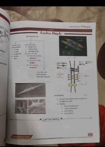 PHYSIOLOGY E GURUKUL NOTES 3.0