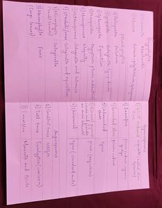 Handwritten Notes Neet Ug