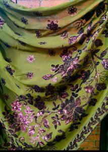 Nice Saree(3)