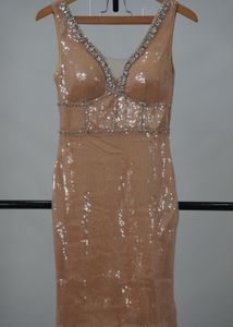 Sparkly Sequin Party Dress