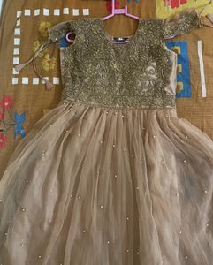 Brand New Net Gown