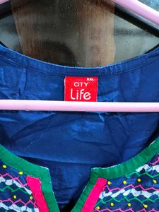 Blue Kurta with Embroidered Neck