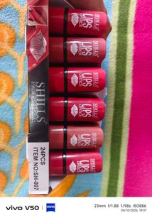SHILLS Velvet Lips Lipstick