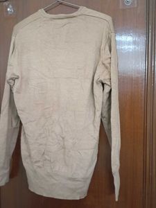 Men's Beige V-Neck Sweater