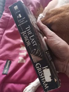 The Last Juror by John Grisham